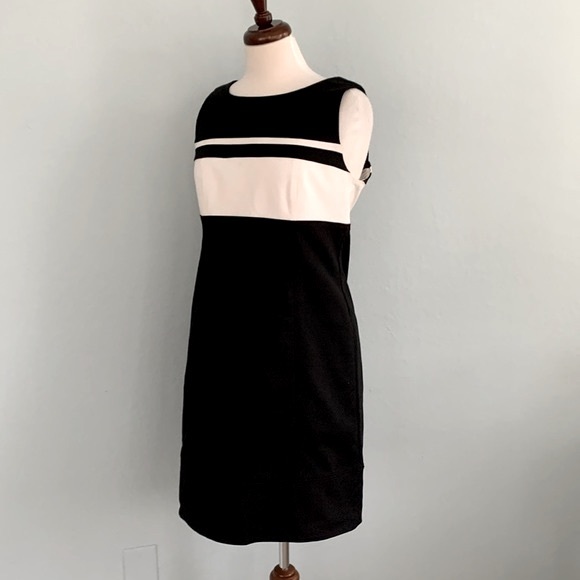 WHBM Perfect Form Dress - Picture 7 of 14